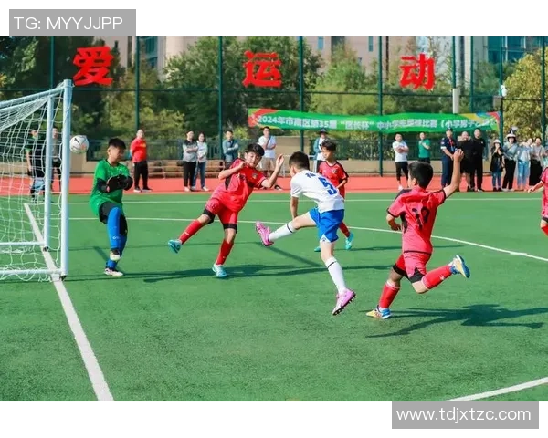 闪耀绿茵场的足球巨星们 他们用激情与实力书写传奇故事 闪耀绿茵场的足球巨星们 他们用激情与实力书写传奇故事